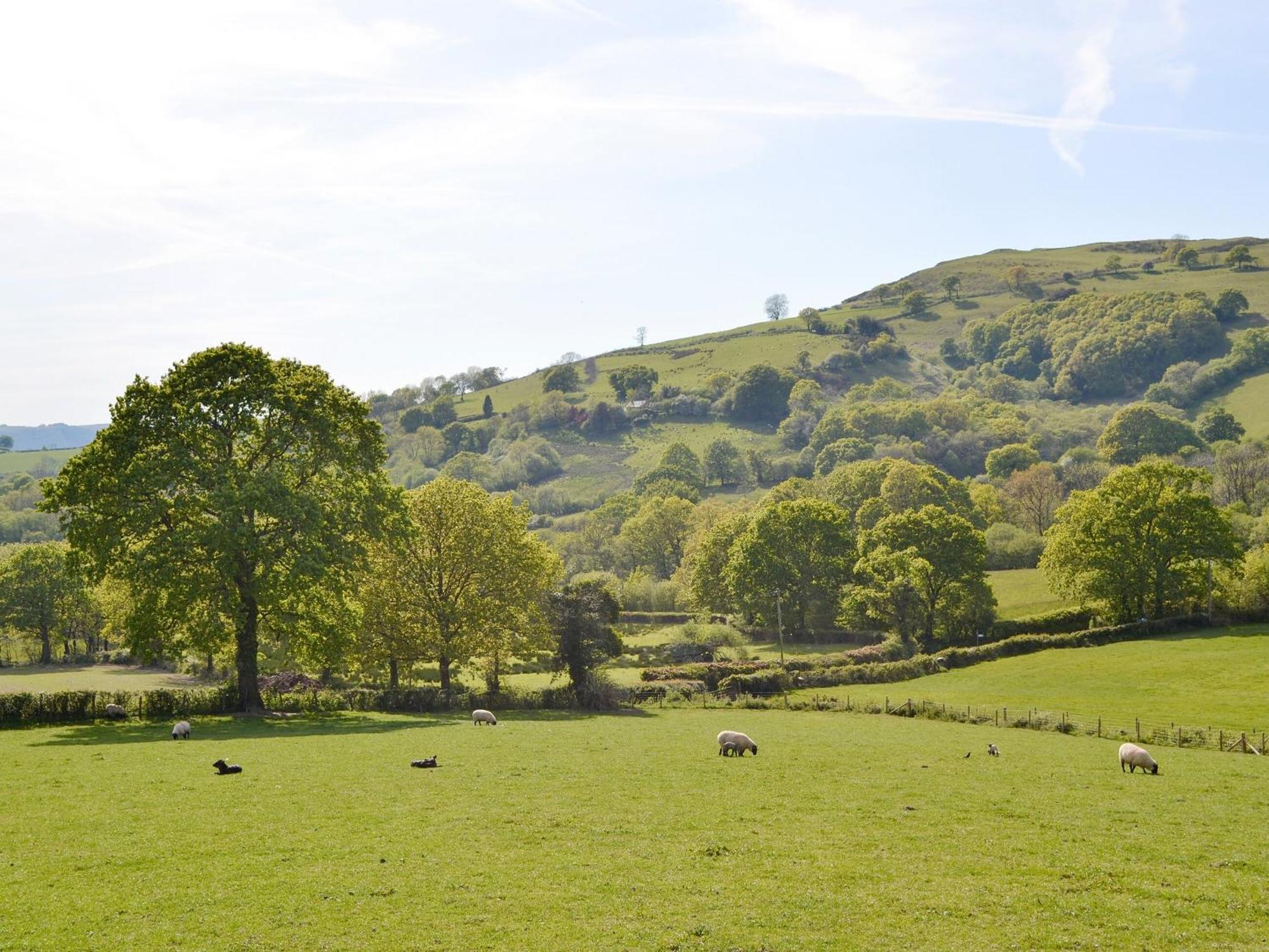 Maes Y Bryn Farmhouse Llanwrda Εξωτερικό φωτογραφία